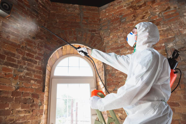 Mold Remediation for Rental Properties in Pompano Beach, FL